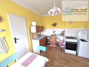 Prodej bytu 2+1, Krnov - Pod Bezručovým vrchem, Rooseveltova, 60 m2