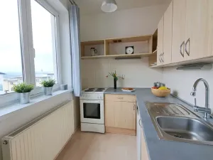Pronájem bytu 1+kk, Brno, Bešůvka, 38 m2