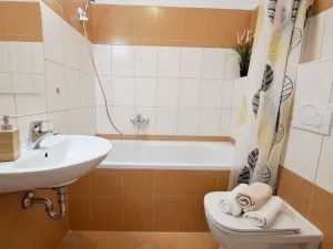 Pronájem bytu 1+kk, Brno, Bešůvka, 38 m2