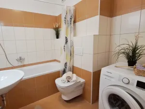 Pronájem bytu 1+kk, Brno, Bešůvka, 38 m2