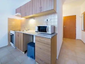 Prodej bytu 1+1, Loket, Mírová, 40 m2