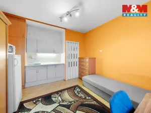 Prodej bytu 1+kk, Děčín - Děčín III-Staré Město, Litoměřická, 19 m2
