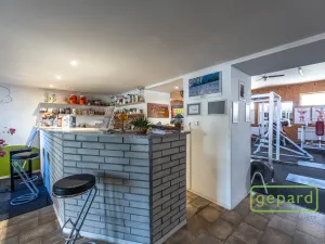 Prodej komerční nemovitosti, Středokluky, Lidická, 569 m2