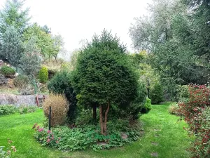 Prodej rodinného domu, Klučenice, 166 m2