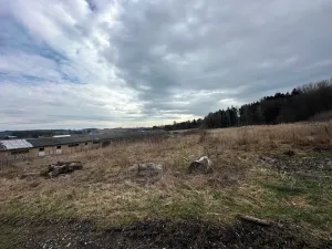 Prodej komerční nemovitosti, Jedlová, 1346 m2