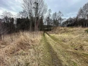 Prodej komerční nemovitosti, Jedlová, 1346 m2