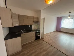 Pronájem bytu 2+kk, Strašice, 50 m2