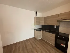 Pronájem bytu 2+kk, Strašice, 50 m2