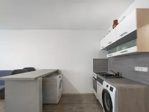 Prodej bytu 1+kk, České Budějovice, K. Chocholy, 30 m2