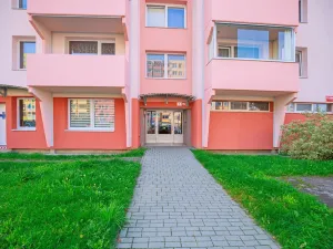 Prodej bytu 1+kk, České Budějovice, K. Chocholy, 30 m2