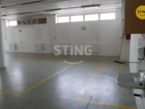 Pronájem výrobních prostor, Opava, Rybářská, 694 m2