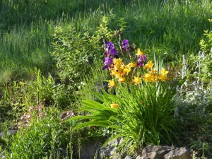 Prodej pozemku pro bydlení, Vsetín, 285345 m2