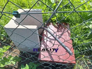 Pronájem zahrady, Podbořany, Kadaňská, 198 m2