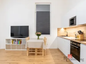 Prodej bytu 2+kk, Ostrava - Přívoz, Palackého, 48 m2