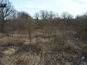 Prodej komerčního pozemku, Polom, 40000 m2