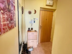 Prodej bytu 1+1, Chrást, Budovatelů, 41 m2