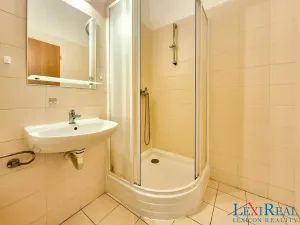 Pronájem bytu 1+1, Praha - Nusle, Bělehradská, 33 m2