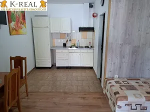 Pronájem bytu 1+kk, Jámy, 30 m2