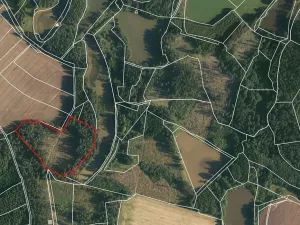 Prodej lesa, Nová Olešná, 22371 m2