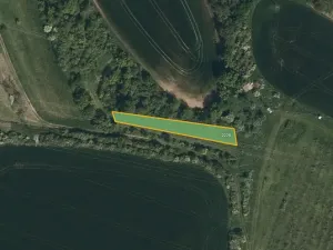 Prodej sadu/vinice, Svatobořice-Mistřín, 5062 m2