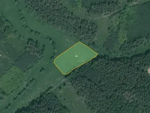 Prodej pole, Poběžovice, 64029 m2