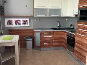 Pronájem bytu 1+kk, Olomouc, Mošnerova, 40 m2