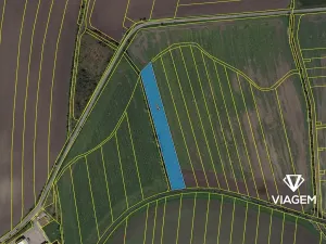 Prodej podílu pole, Záhornice, 241 m2