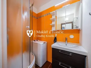 Prodej bytu 1+1, Ivančice, Luční, 36 m2