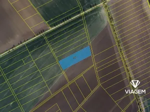 Prodej podílu pole, Třibřichy, 381 m2