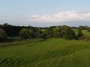 Dražba louky, Pustějov, 9886 m2