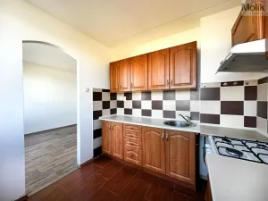 Pronájem bytu 3+1, Most, Javorová, 69 m2
