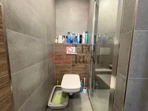 Pronájem bytu 2+kk, Praha - Krč, Štúrova, 37 m2