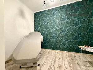 Pronájem obchodního prostoru, Tachov, Husitská, 22 m2