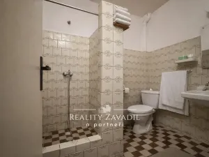 Prodej chaty, Světlá Hora - Dětřichovice, 110 m2