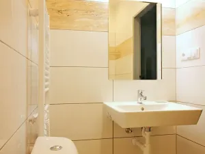 Pronájem bytu 1+kk, Brno, Koliště, 30 m2