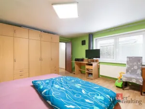 Prodej rodinného domu, Brumovice, Krátká, 273 m2