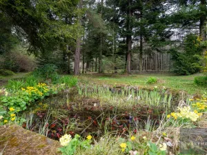 Prodej chaty, Frýdlant nad Ostravicí - Frýdlant, 90 m2