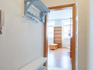 Pronájem bytu 1+kk, Praha - Žižkov, Jeseniova, 31 m2