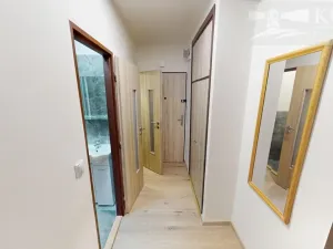 Pronájem bytu 2+1, Příbram, Pod Haldou, 52 m2