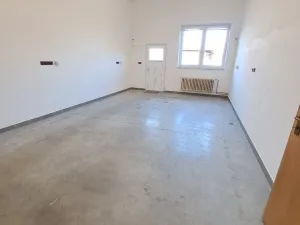 Pronájem výrobních prostor, Přáslavice, 250 m2