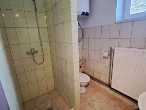 Pronájem výrobních prostor, Přáslavice, 250 m2