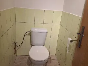 Pronájem výrobních prostor, Přáslavice, 250 m2