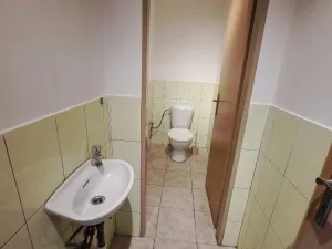 Pronájem výrobních prostor, Přáslavice, 250 m2