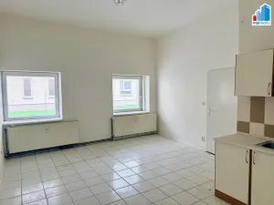 Prodej rodinného domu, Heřmanova Huť, Revoluční, 397 m2