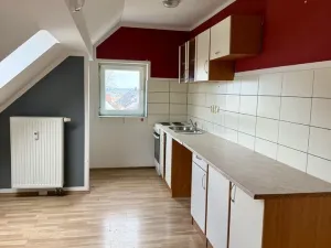 Prodej ubytování, Heřmanova Huť, Revoluční, 397 m2