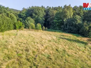 Prodej louky, Nový Bor - Janov, 5500 m2