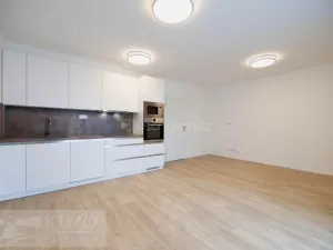 Prodej bytu 1+kk, Brno, Auerswaldova, 35 m2