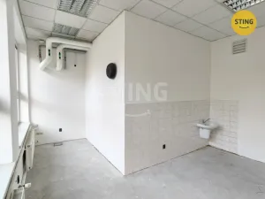 Pronájem skladu, Ostrava, Paskovská, 600 m2