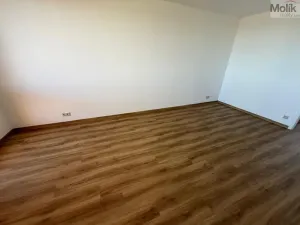 Prodej bytu 3+1, Most, Růžová, 68 m2