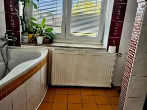 Prodej bytu 3+1, Sokolov, Makarenkova, 160 m2